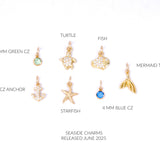 Necklace Charm