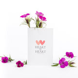 Gift Giving Explanation Card
