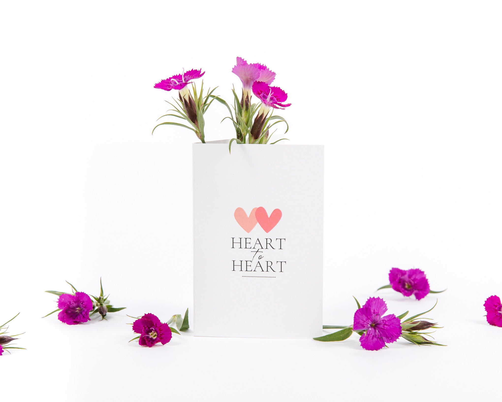 Gift Giving Explanation Card