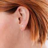 Backdrop Earrings