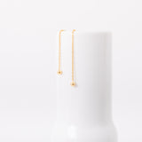 Backdrop Earrings