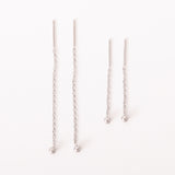 Backdrop Earrings