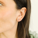 Twinkling Star Studs