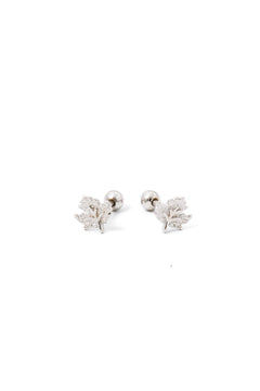 Little Leaf Screwbacks