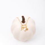 Hooking Up Charm Necklace