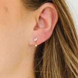 Diamond Leaf Flatback