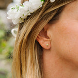 Toadstool Studs