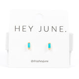 Turquoise Screwbacks