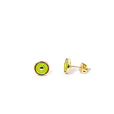 Kiwi Studs