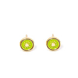 Kiwi Studs