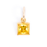 Gold Birthstone Charms