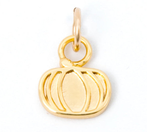 Necklace Charms