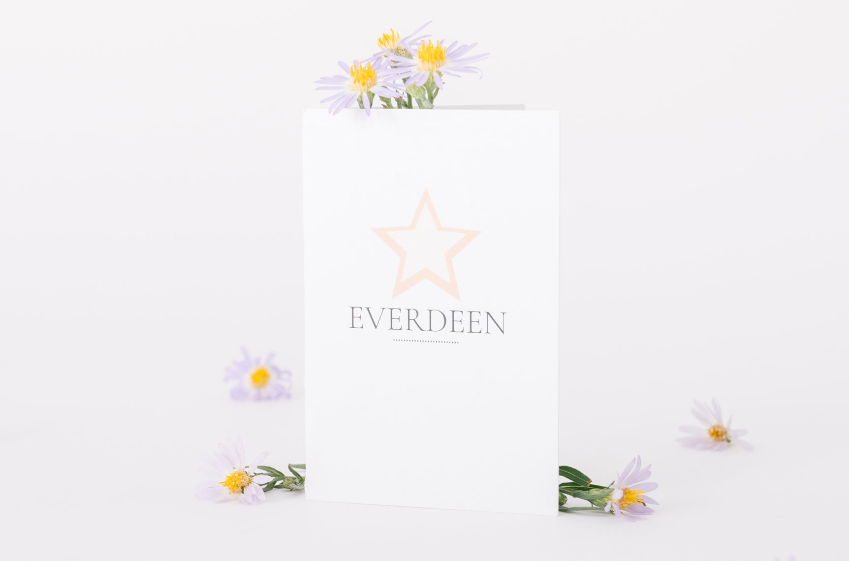 Gift Giving Explanation Card