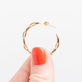 Antonia Hoop