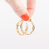 Antonia Hoop