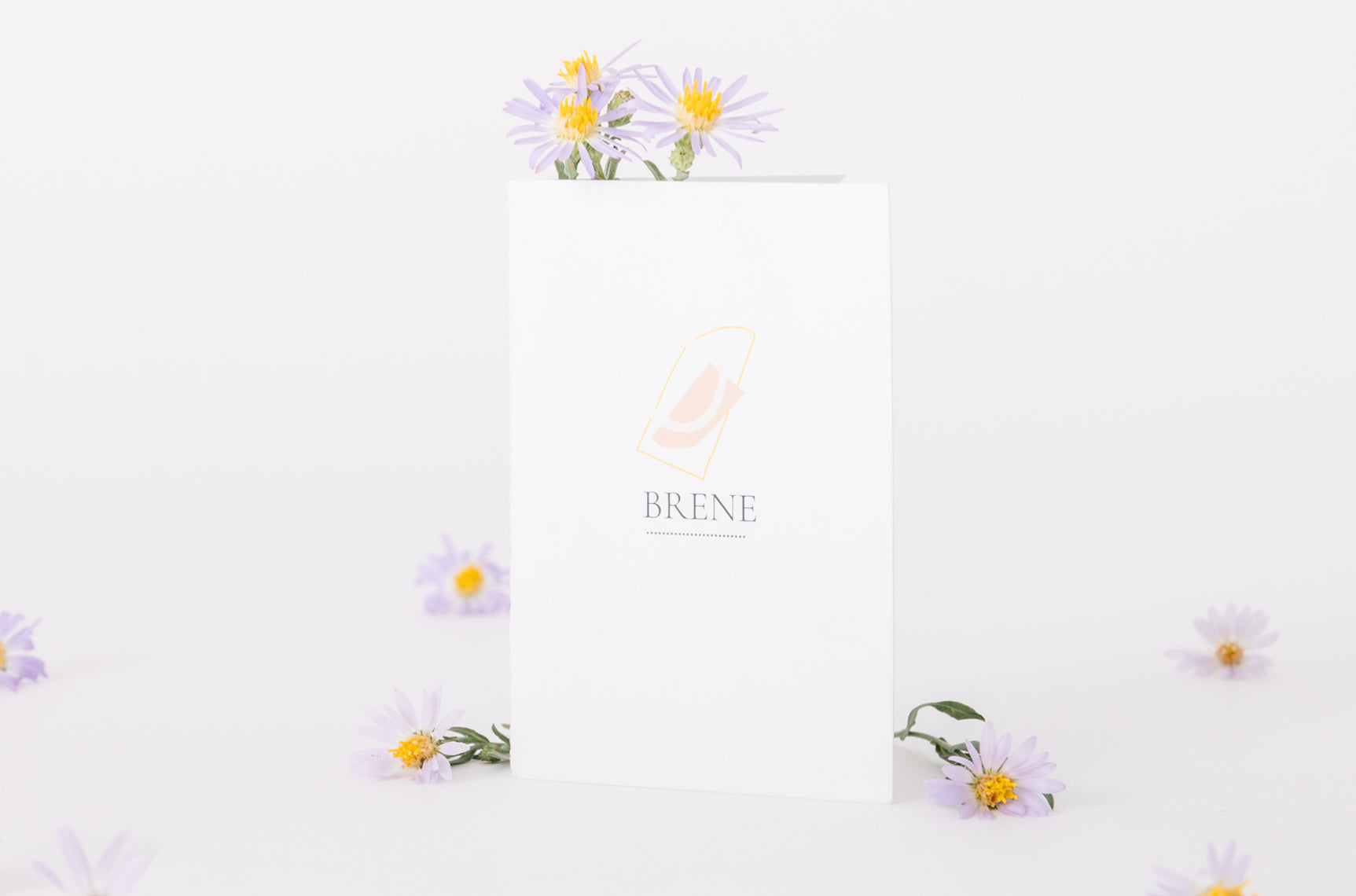 Gift Giving Explanation Card